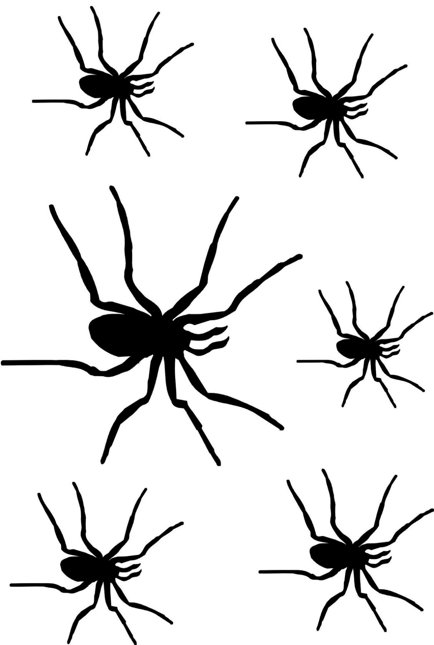 stencil Schablone Spinnen: stencil Schablone SpinnenWillkommen bei